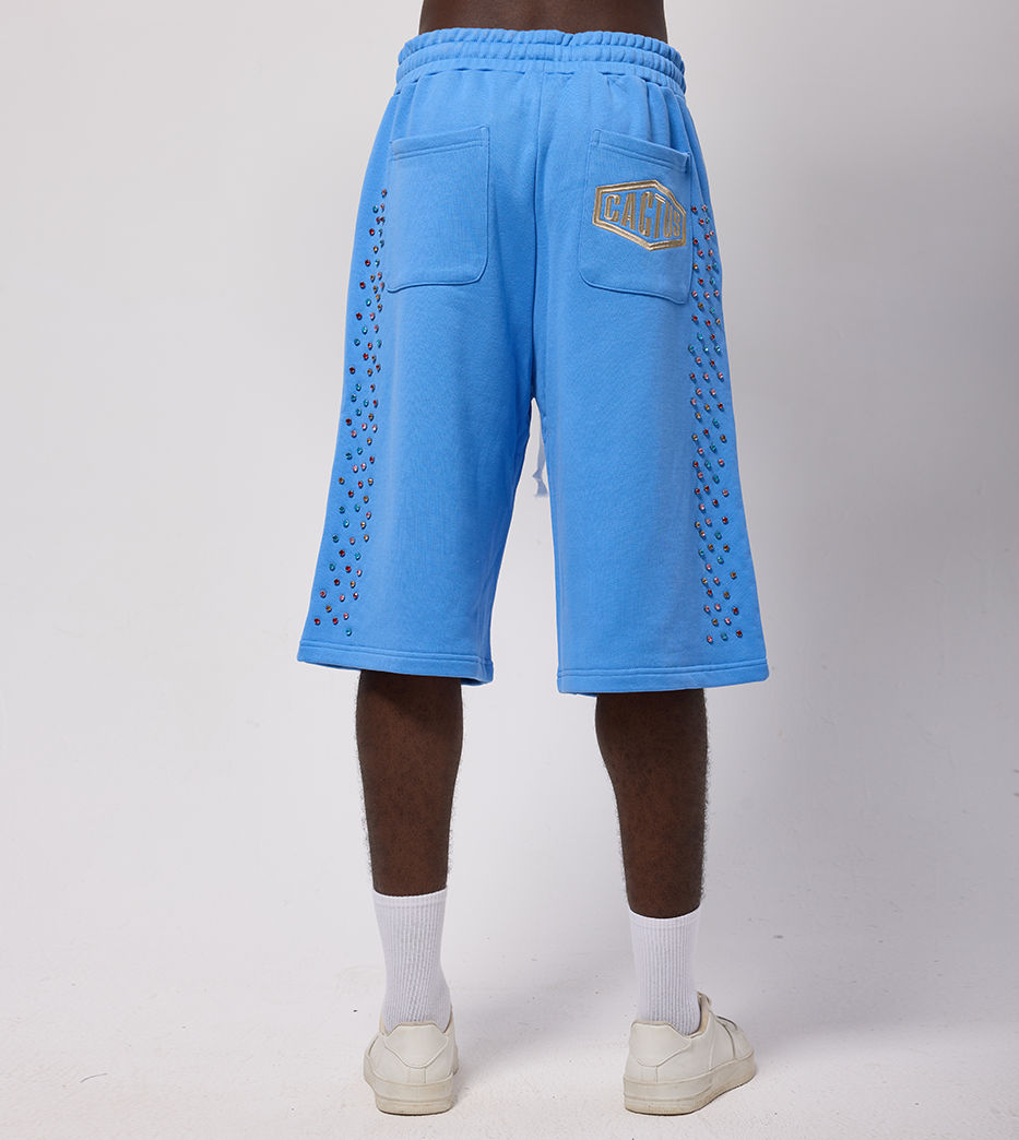 Azva Studios Crystal Cactus Sweat Shorts Baby Blue