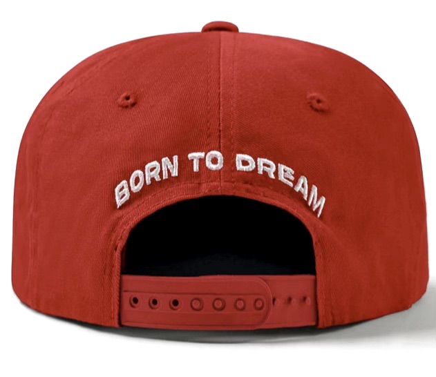 Vale Forever Brooklyn Snapper Cap Red